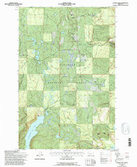 Download a high-resolution, GPS-compatible USGS topo map for Cygnet Lake, MT (1996 edition)