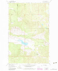 Download a high-resolution, GPS-compatible USGS topo map for Dahl Lake, MT (1984 edition)
