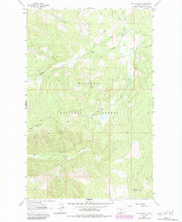 Download a high-resolution, GPS-compatible USGS topo map for Davis Mountain, MT (1984 edition)