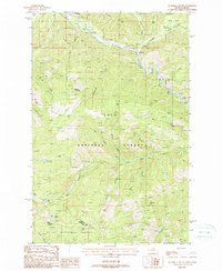 preview thumbnail of historical topo map of Mineral County, MT in 1988