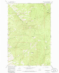 Download a high-resolution, GPS-compatible USGS topo map for Deer Mountain, MT (1986 edition)