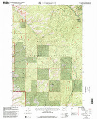 Download a high-resolution, GPS-compatible USGS topo map for Deer Mountain, MT (2002 edition)