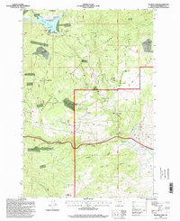 Download a high-resolution, GPS-compatible USGS topo map for Delmoe Lake, MT (1998 edition)