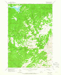 Download a high-resolution, GPS-compatible USGS topo map for Delmoe Lake, MT (1966 edition)