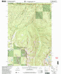 Download a high-resolution, GPS-compatible USGS topo map for Dick Creek, MT (2003 edition)