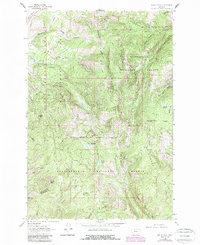 Download a high-resolution, GPS-compatible USGS topo map for Dickie Peak, MT (1989 edition)
