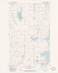 Download a high-resolution, GPS-compatible USGS topo map for Dominek Lake, MT (1984 edition)