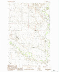 Download a high-resolution, GPS-compatible USGS topo map for Double S Hill, MT (1984 edition)