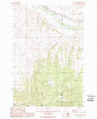 preview thumbnail of historical topo map of Granite County, MT in 1989