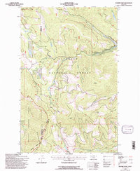 Download a high-resolution, GPS-compatible USGS topo map for Dunsire Point, MT (1997 edition)