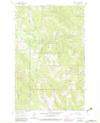 preview thumbnail of historical topo map of Flathead County, MT in 1963