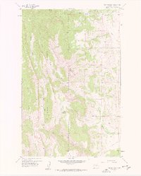 Download a high-resolution, GPS-compatible USGS topo map for Ear Mountain, MT (1959 edition)