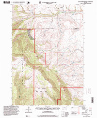 Download a high-resolution, GPS-compatible USGS topo map for East Pryor Mountain, MT (1999 edition)
