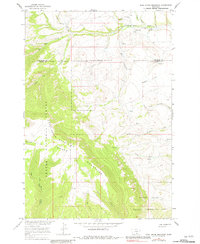 Download a high-resolution, GPS-compatible USGS topo map for East Pryor Mountain, MT (1981 edition)