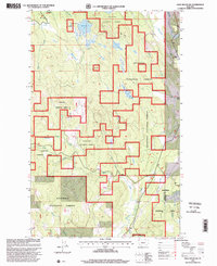 Download a high-resolution, GPS-compatible USGS topo map for Edna Mountain, MT (2000 edition)
