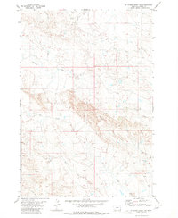 Download a high-resolution, GPS-compatible USGS topo map for Elkhorn Creek SW, MT (1980 edition)