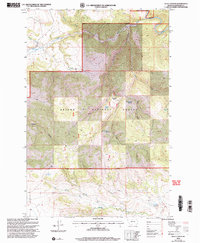 Download a high-resolution, GPS-compatible USGS topo map for Ellis Canyon, MT (2004 edition)