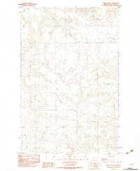 Download a high-resolution, GPS-compatible USGS topo map for Emily Coulee, MT (1983 edition)