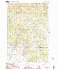 Download a high-resolution, GPS-compatible USGS topo map for Esmeralda Hill, MT (1989 edition)
