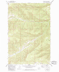 Download a high-resolution, GPS-compatible USGS topo map for Ettien Spring, MT (1986 edition)
