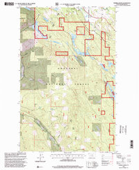 Download a high-resolution, GPS-compatible USGS topo map for Eureka South, MT (2000 edition)