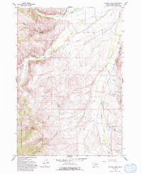 Download a high-resolution, GPS-compatible USGS topo map for Everson Creek, MT (1993 edition)