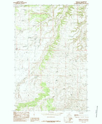 Download a high-resolution, GPS-compatible USGS topo map for Fergus NE, MT (1985 edition)