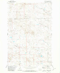 Download a high-resolution, GPS-compatible USGS topo map for Flasted Hill, MT (1980 edition)