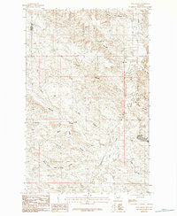 Download a high-resolution, GPS-compatible USGS topo map for Flat Coulee, MT (1984 edition)