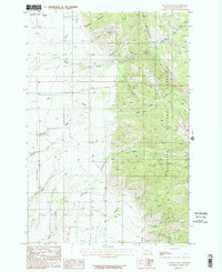 Download a high-resolution, GPS-compatible USGS topo map for Flathead Pass, MT (1987 edition)