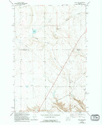 Download a high-resolution, GPS-compatible USGS topo map for Flick Lake, MT (1994 edition)