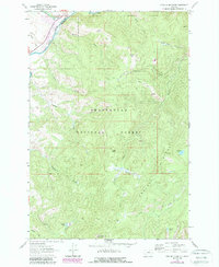 Download a high-resolution, GPS-compatible USGS topo map for Foolhen Mountain, MT (1989 edition)