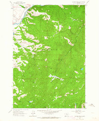 Download a high-resolution, GPS-compatible USGS topo map for Foolhen Mountain, MT (1964 edition)