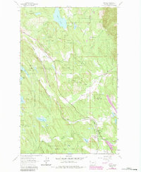 Download a high-resolution, GPS-compatible USGS topo map for Fortine, MT (1984 edition)
