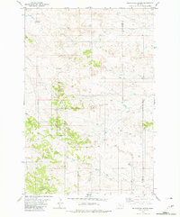 Download a high-resolution, GPS-compatible USGS topo map for Foundation Spring, MT (1981 edition)