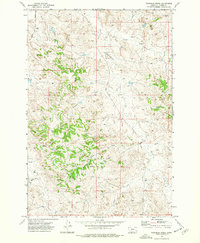 Download a high-resolution, GPS-compatible USGS topo map for Fourmile Creek, MT (1977 edition)