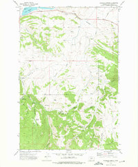 Download a high-resolution, GPS-compatible USGS topo map for Fourmile Spring, MT (1975 edition)