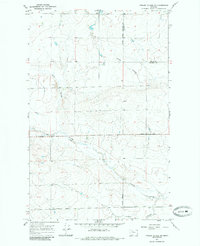 Download a high-resolution, GPS-compatible USGS topo map for Fowler Coulee NW, MT (1985 edition)