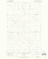 Download a high-resolution, GPS-compatible USGS topo map for Fowler Coulee NW, MT (1971 edition)