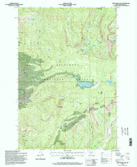 Download a high-resolution, GPS-compatible USGS topo map for Fred Burr Lake, MT (1996 edition)