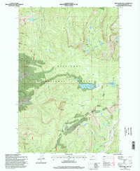 Download a high-resolution, GPS-compatible USGS topo map for Fred Burr Lake, MT (1998 edition)