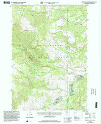 Download a high-resolution, GPS-compatible USGS topo map for Freezeout Mountain, MT (2002 edition)