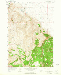 Download a high-resolution, GPS-compatible USGS topo map for Gallagher Mountain, MT (1965 edition)