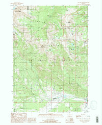Download a high-resolution, GPS-compatible USGS topo map for Gallatin Peak, MT (1989 edition)
