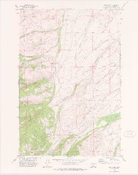 Download a high-resolution, GPS-compatible USGS topo map for Gipsy Lake, MT (1975 edition)