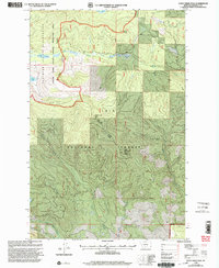 Download a high-resolution, GPS-compatible USGS topo map for Gold Creek Peak, MT (2003 edition)