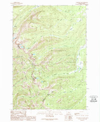 Download a high-resolution, GPS-compatible USGS topo map for Goldstone Pass, MT (1989 edition)