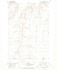 Download a high-resolution, GPS-compatible USGS topo map for Goose Bill Butte NW, MT (1973 edition)