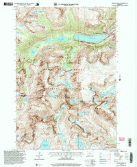 Download a high-resolution, GPS-compatible USGS topo map for Granite Peak, MT (1999 edition)