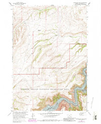 Download a high-resolution, GPS-compatible USGS topo map for Grapevine Dome, MT (1983 edition)